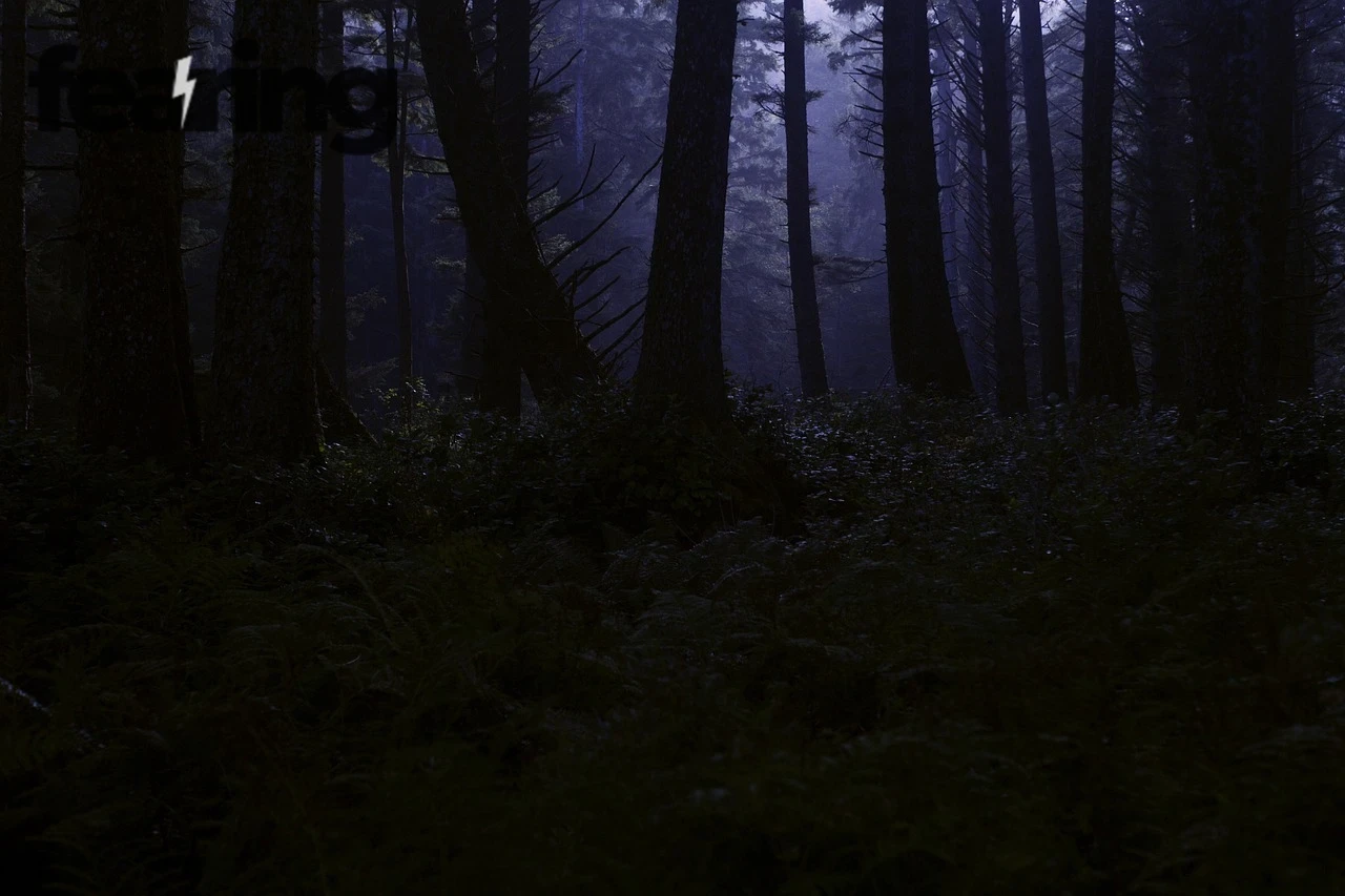 Inside the World of Modern Paranormal Investigations