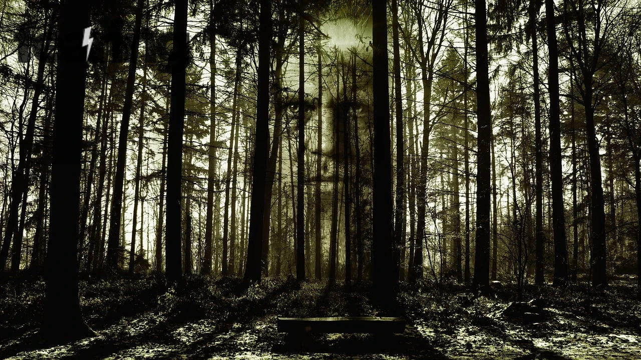 Haunted Castles You Can Explore in Europe