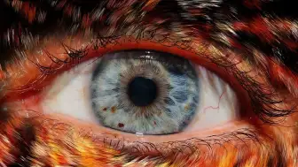 Scary Stories That Crawl Beneath Your Skin