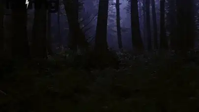 Inside the World of Modern Paranormal Investigations