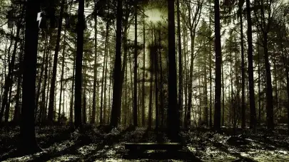 Haunted Castles You Can Explore in Europe