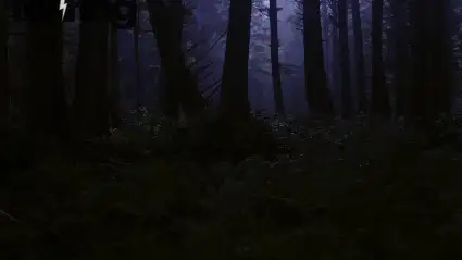 Inside the World of Modern Paranormal Investigations