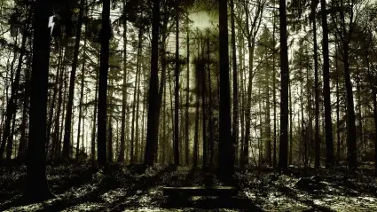 Haunted Castles You Can Explore in Europe