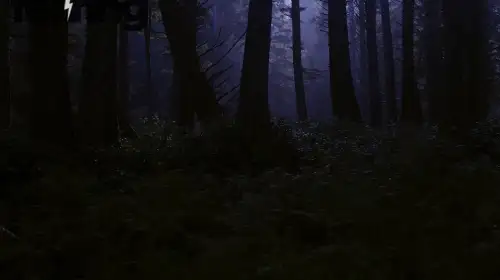 Inside the World of Modern Paranormal Investigations