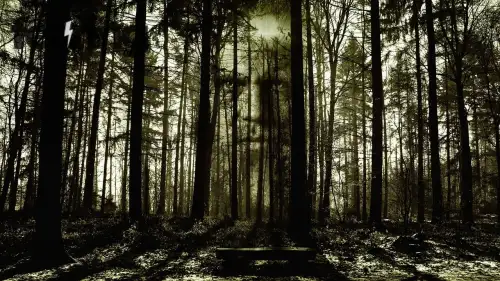 Haunted Castles You Can Explore in Europe