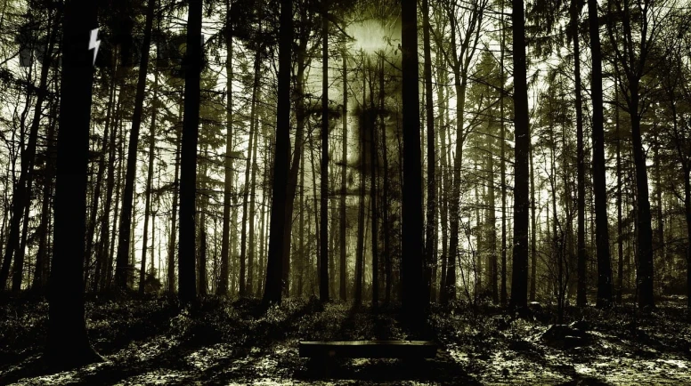 Haunted Castles You Can Explore in Europe