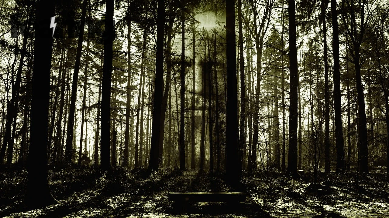 Haunted Castles You Can Explore in Europe